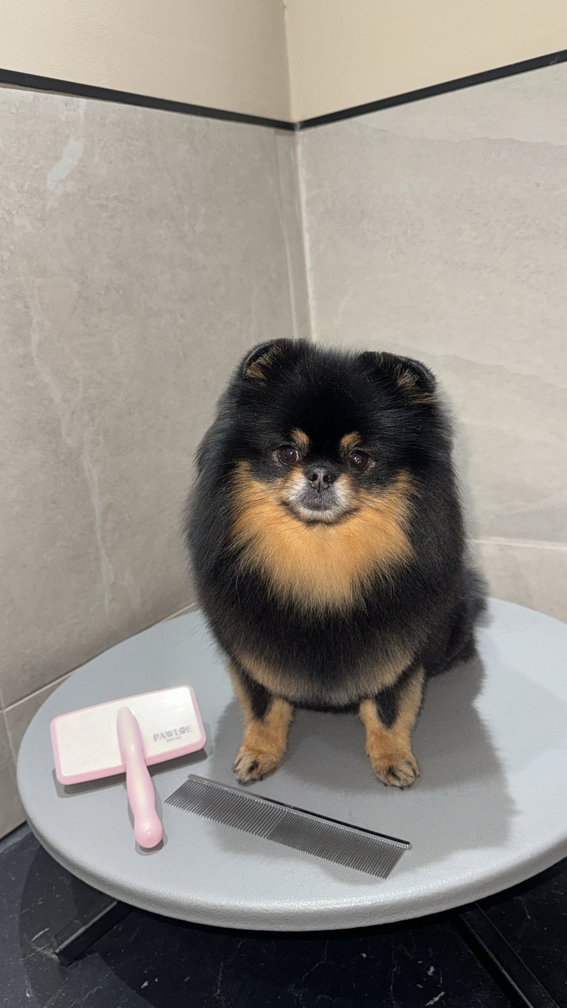 Pawloe Slicker Borstel roze