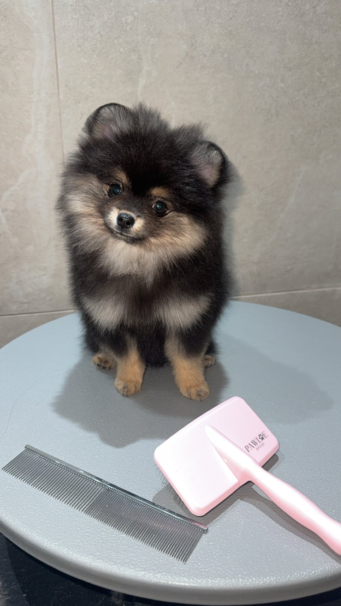 Pawloe Slicker Borstel roze