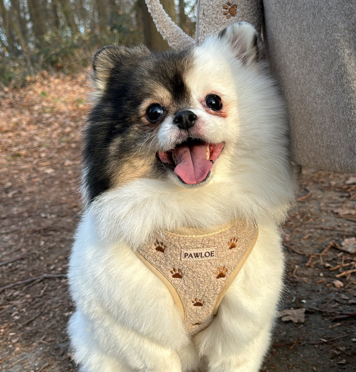 Teddy Paw adjustable neck harness