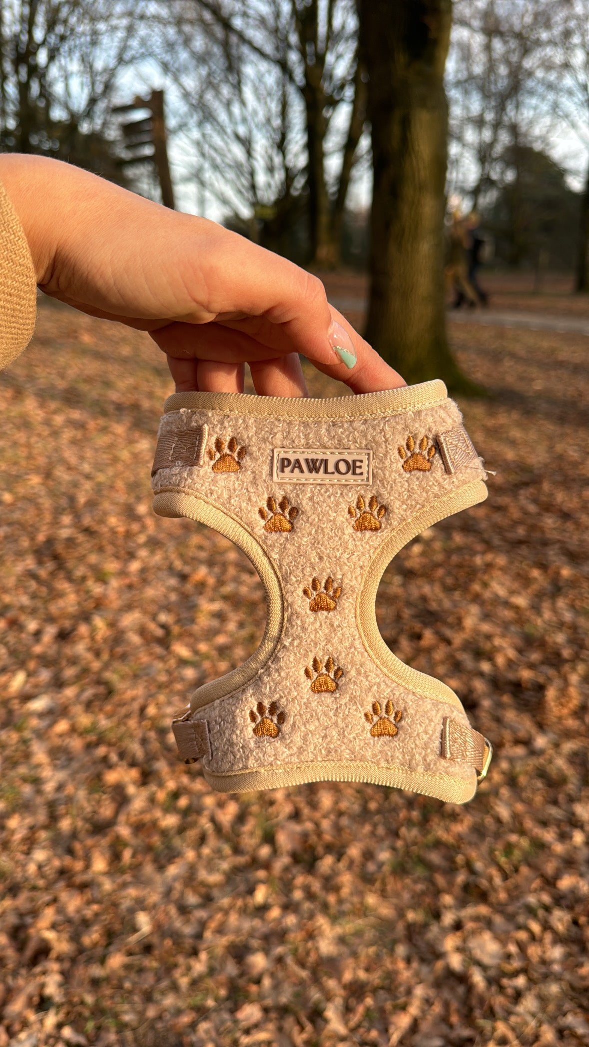 Teddy Paw adjustable neck harness